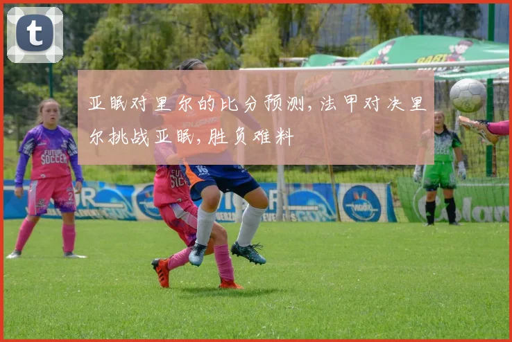 亚眠对里尔的比分预测,法甲对决里尔挑战亚眠,胜负难料